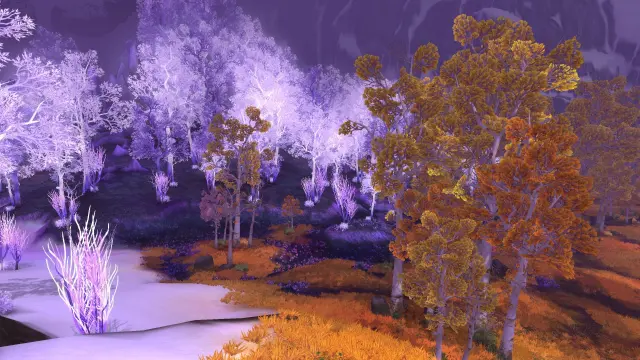 Preparations for War