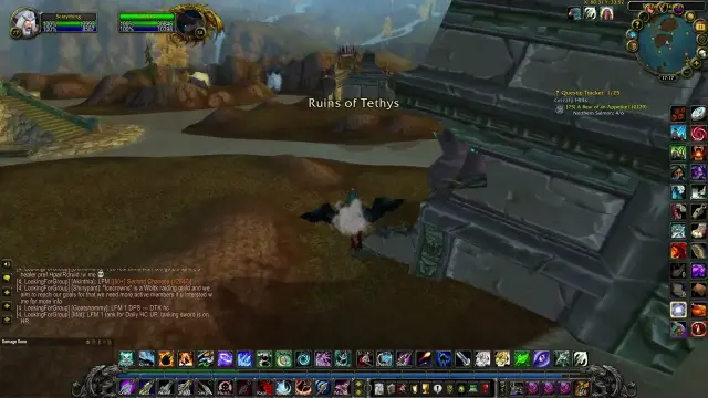 A Bear of an Appetite