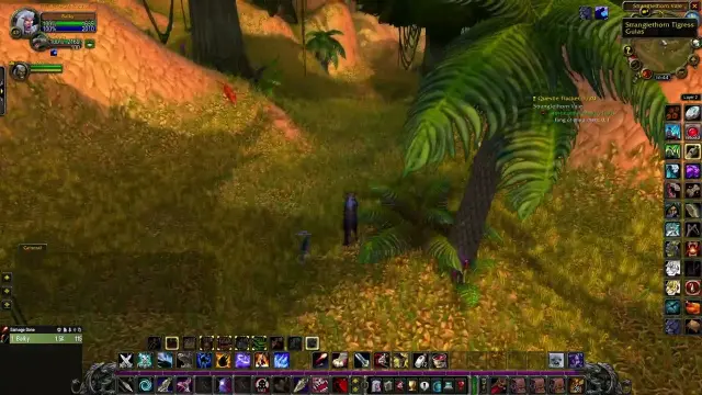 Panther Mastery
